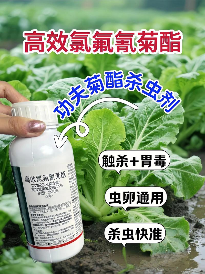 博尔塔拉代生中心:农药对供卵代生妈妈的危害